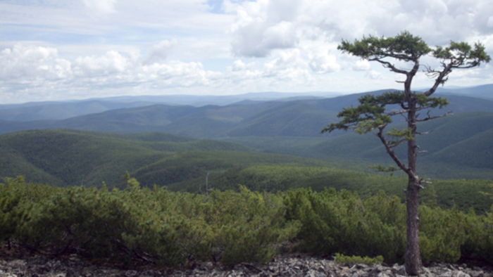 ��ɽ����