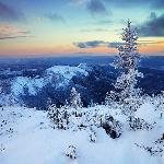 ���ж������