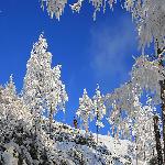 ���ж������