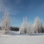 ����ӷ��