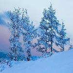 ���ж������