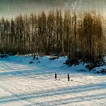 ���ж������